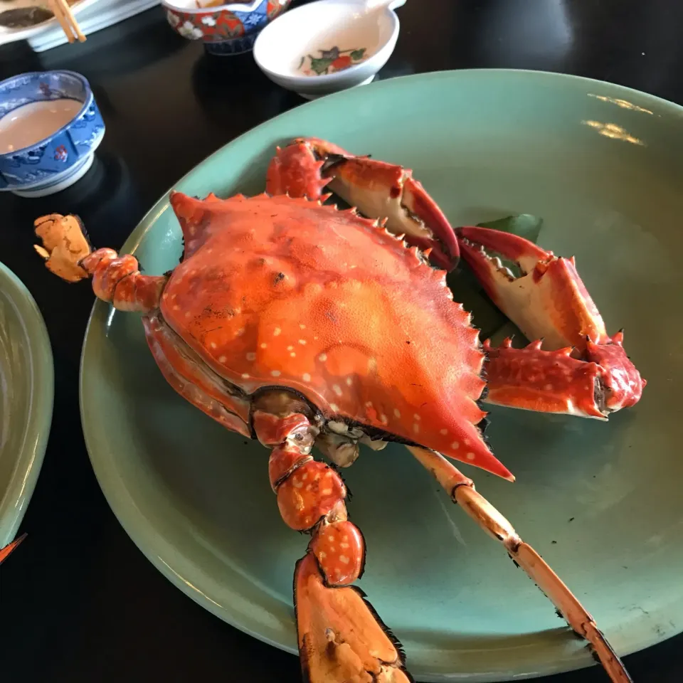 酔っ払い蟹🦀|まるいのさん