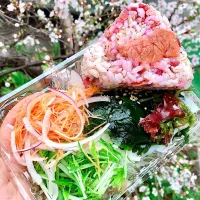 Snapdishの料理写真:spring|Lazuk Hkawng Nawさん