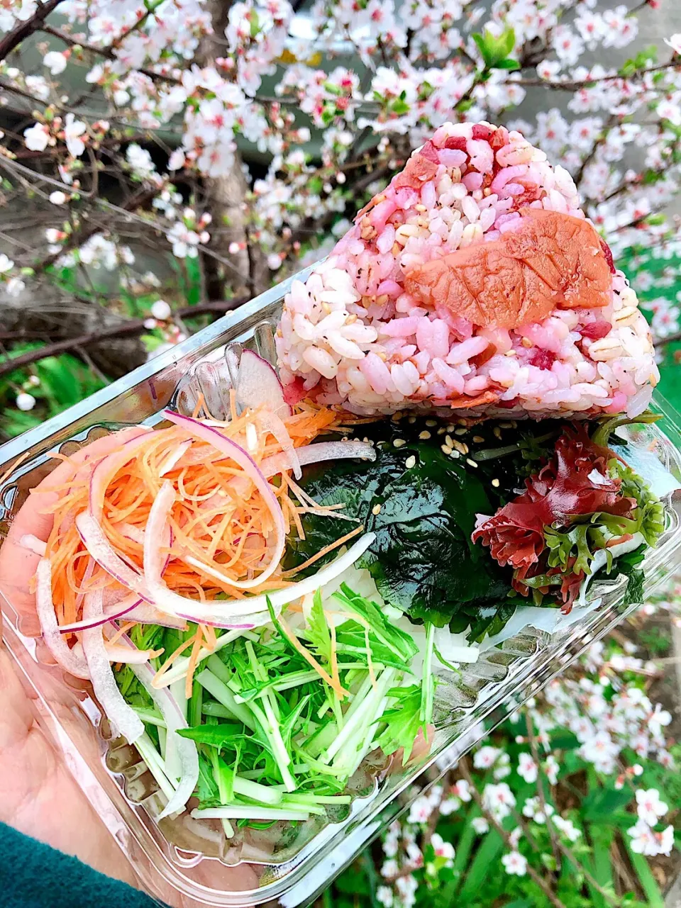 Snapdishの料理写真:spring|Lazuk Hkawng Nawさん