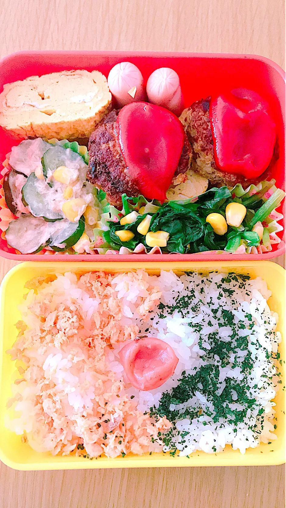 Snapdishの料理写真:ハンバーグ弁当|Megumiさん