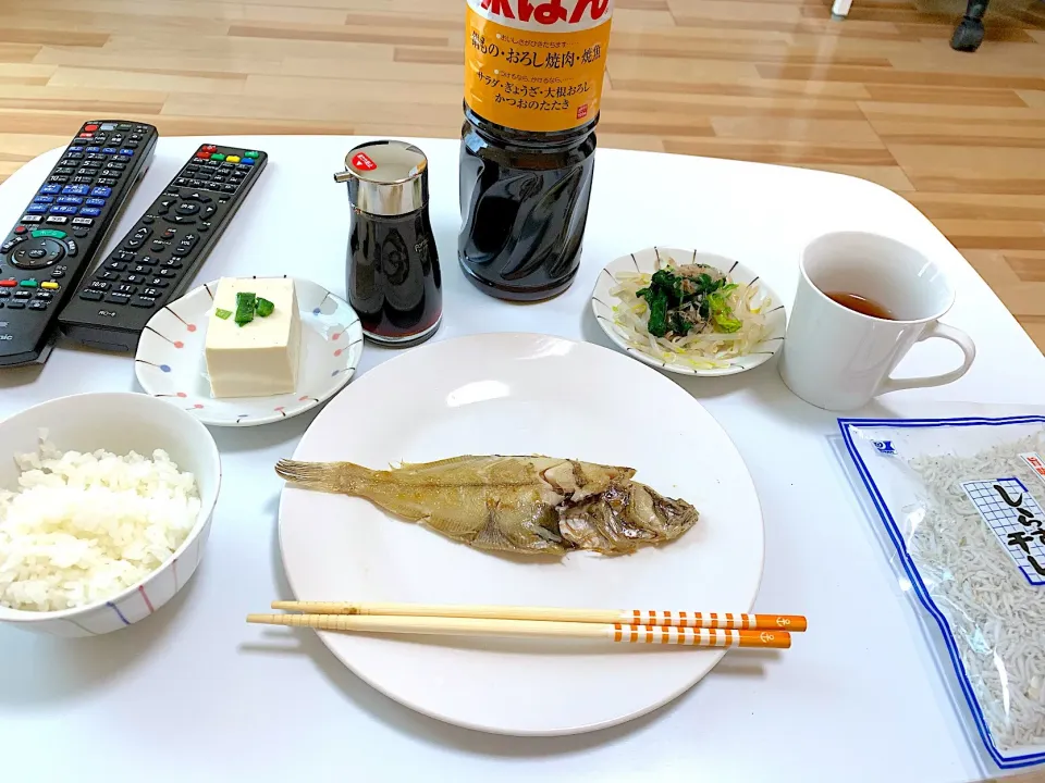 Snapdishの料理写真:一人暮らし始まりました😢|みおさん