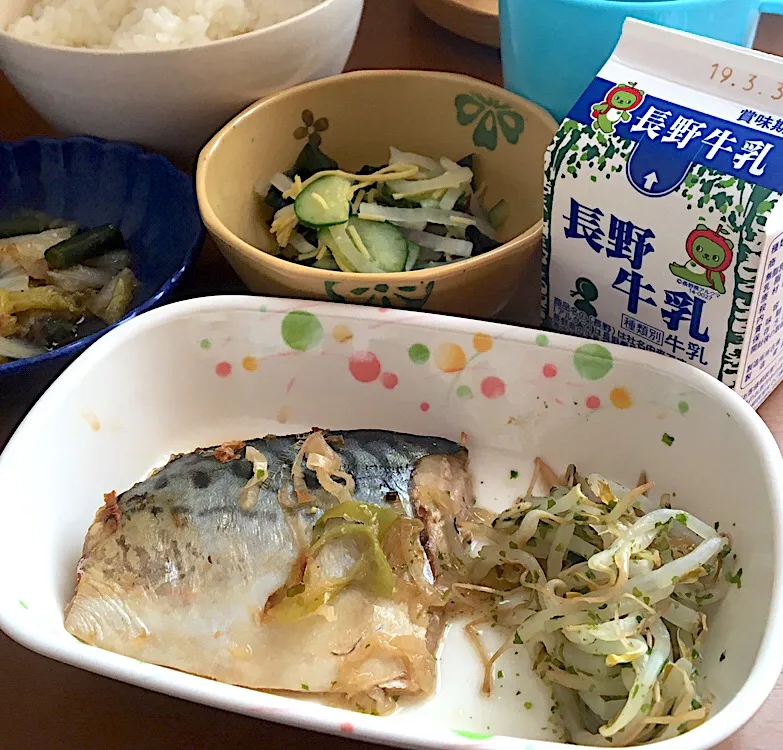 アル中病棟の昼ごはん☀️☀️🔆
ごはん🍚  鯖のねぎ焼き🐟  海草サラダ🥗   おかか炒め  牛乳🥛|ぽんたさん