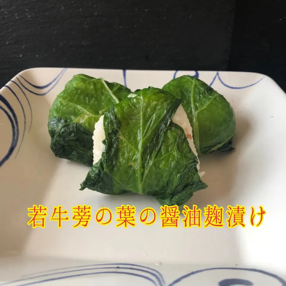 若牛蒡の葉の醤油麹漬けでおむすび|佐野未起さん