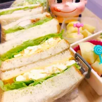 手作りパンでピクニック♡２種のサンドイッチとちょこっとおかず。