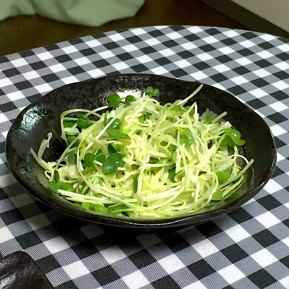 キャベツとカイワレのサラダ!  (^-^)|Kei Satoさん