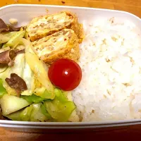 Snapdishの料理写真:誰にも見せないお弁当|お弁当娘さん