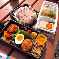 Snapdishの料理写真:お花見弁当|yoshikoさん