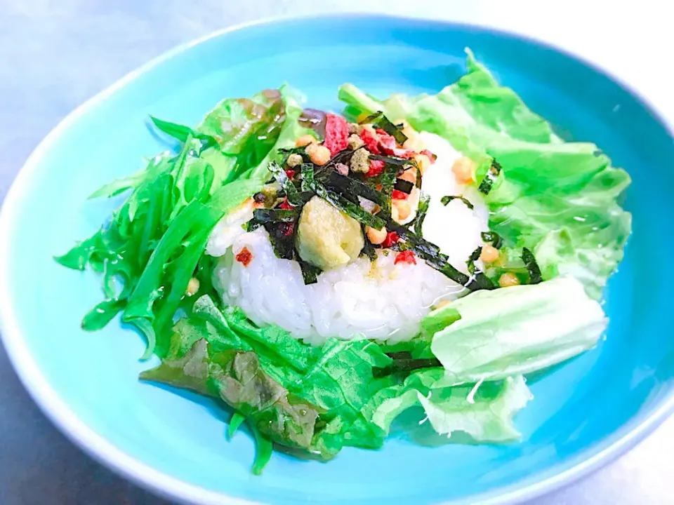 Snapdishの料理写真:フレッシュ野菜と焼きおにぎりのお茶漬け|かっちゃん杉さん