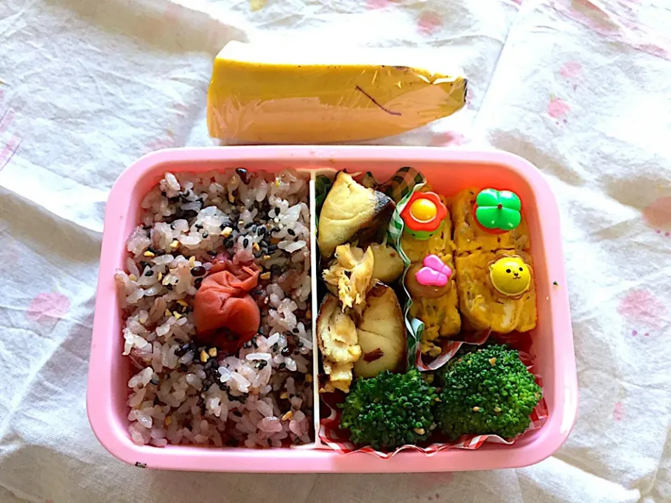 Snapdishの料理写真:2019/03/27お弁当|さんだーさん