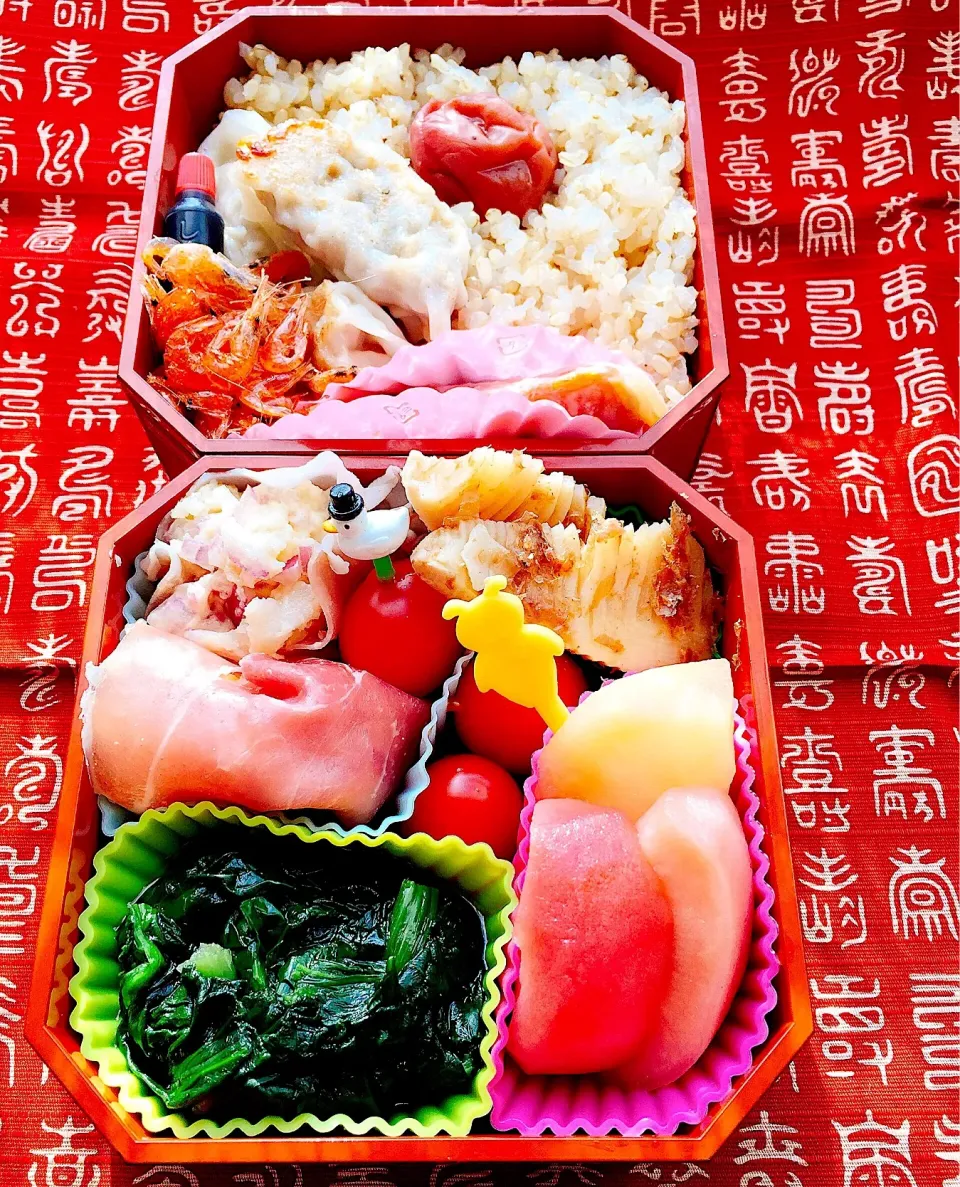 Snapdishの料理写真:#お弁当 #お父さん弁当 
#玄米ご飯 #雪むすび #手作り餃子 
#寒締めほうれん草のお浸し 
#紅玉りんごのコンポート 
#野菜たっぷり #ポテトサラダ生ハム巻き|Blueberry🫐さん