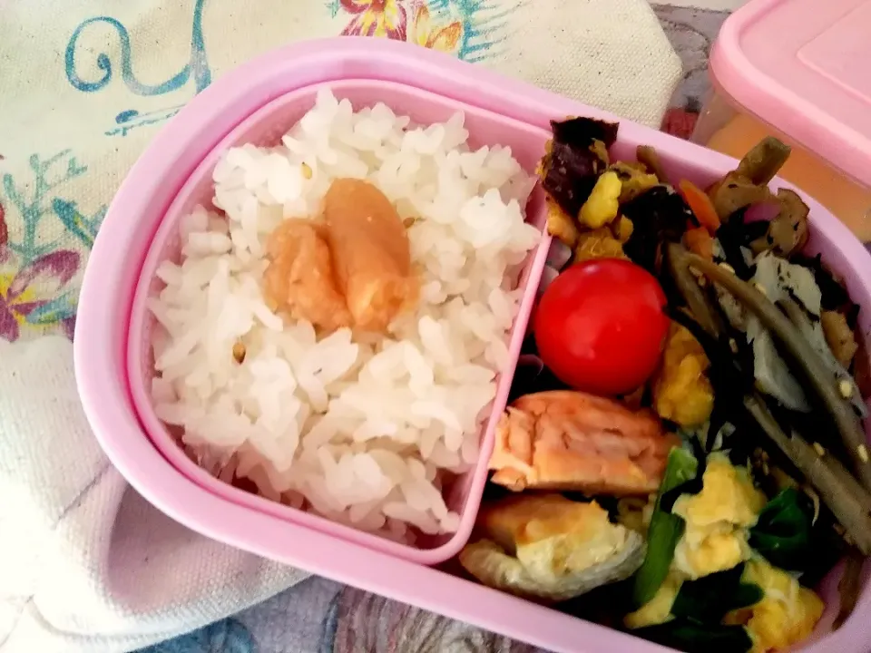 3/27 お弁当💮|まきごろうさん