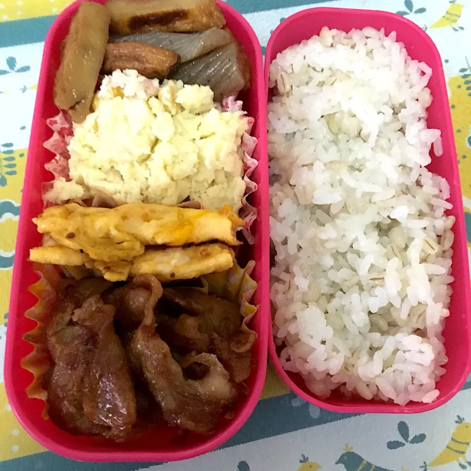 Snapdishの料理写真:190320お弁当|mioさん