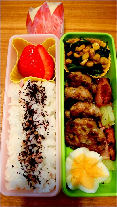 小学生春休みのお弁当🌼|pigmegさん