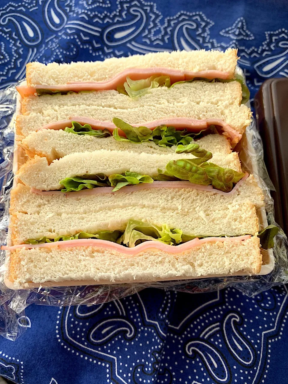 Snapdishの料理写真:息子のバイト弁当🥪3/28|iguigupopさん