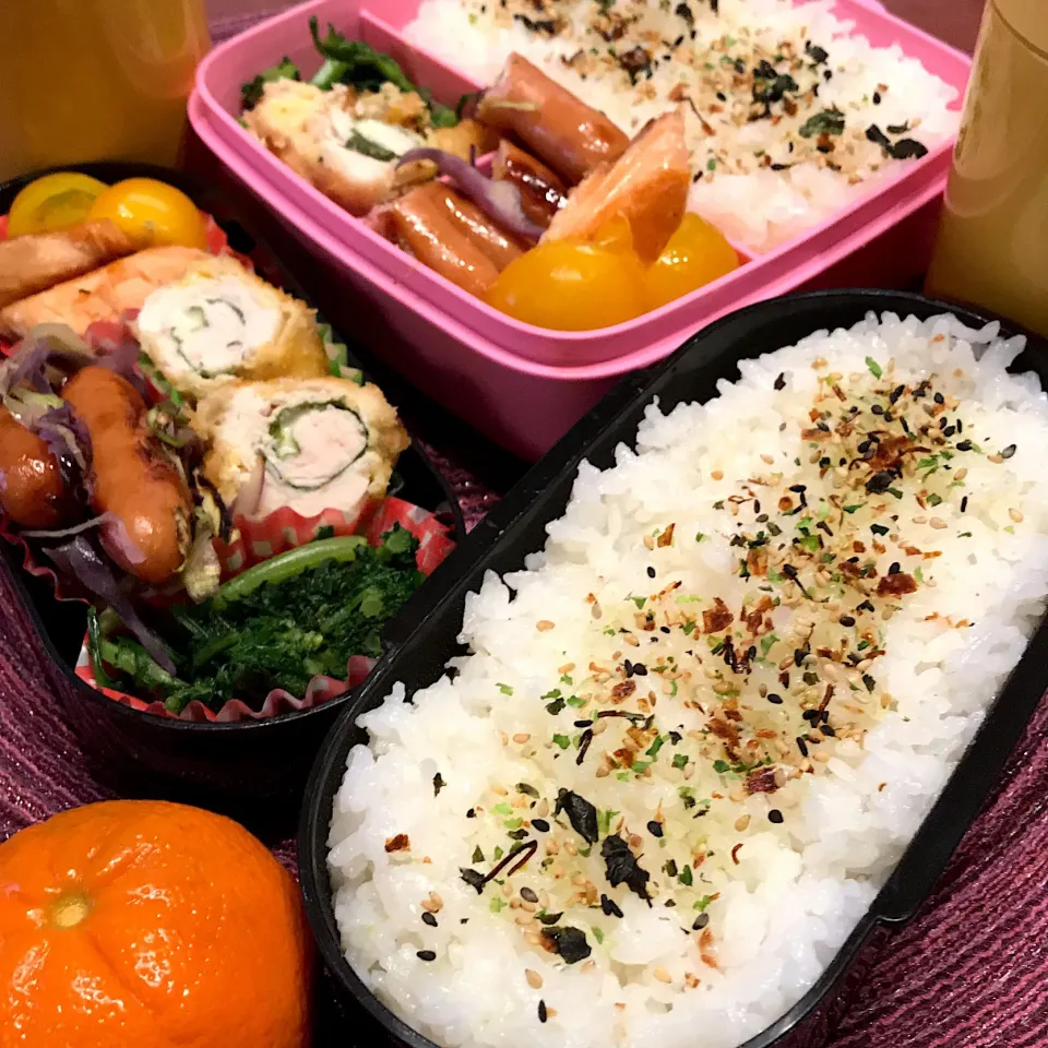 今日のお弁当🍱
ささみの紫蘇チーズロール
焼き鮭
たまごと生あおさのスープ
マーコットオレンジ
も召し上がれ😋

今日も気をつけて
いってらっしゃい👋😊|mokoさん