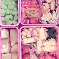 お花見弁当|Mi Masuさん