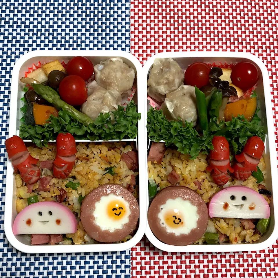 Snapdishの料理写真:2019年3月29日 ムスコ&オレ弁当♪|クッキングおやぢさん