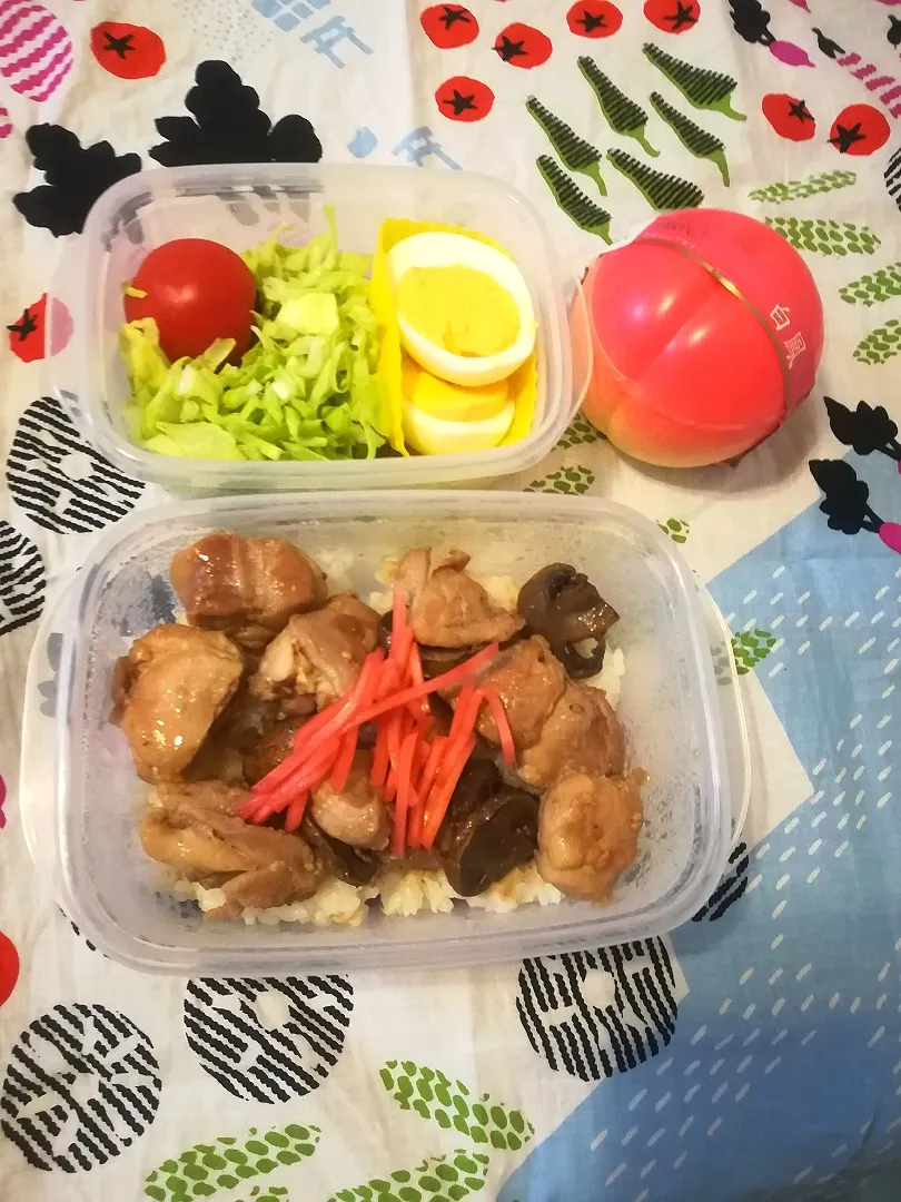 鶏肉甘辛弁当🍱|とにおさん