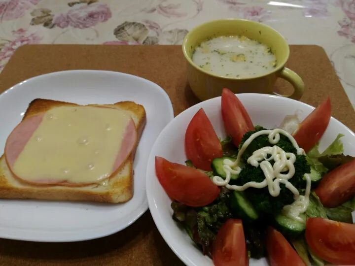 2019/3/29(金）
何も無くなって冷凍パンでランチ🍞|たえさん