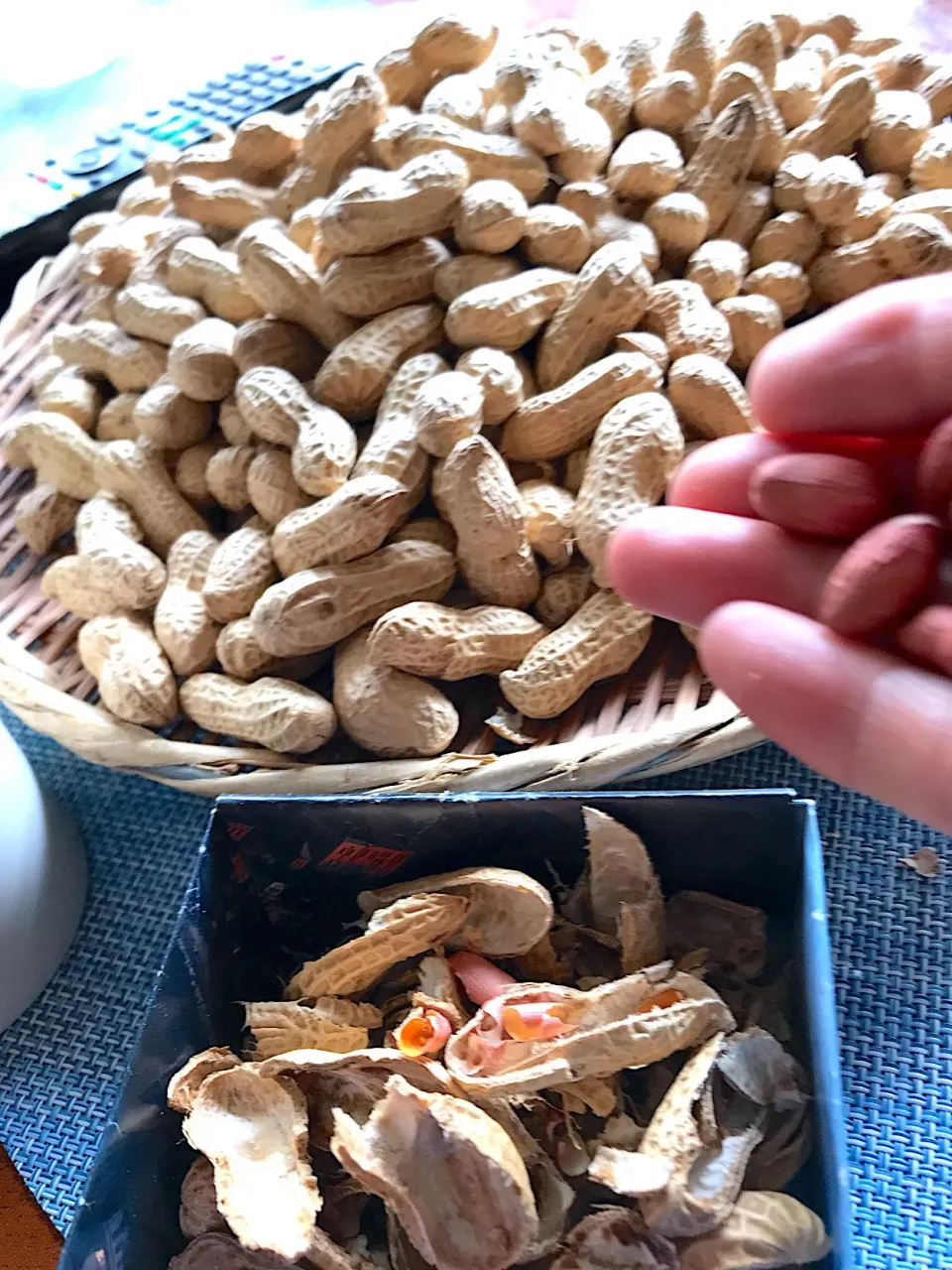 お花見の屋台で毎年買っている千葉産落花生|シュトママさん