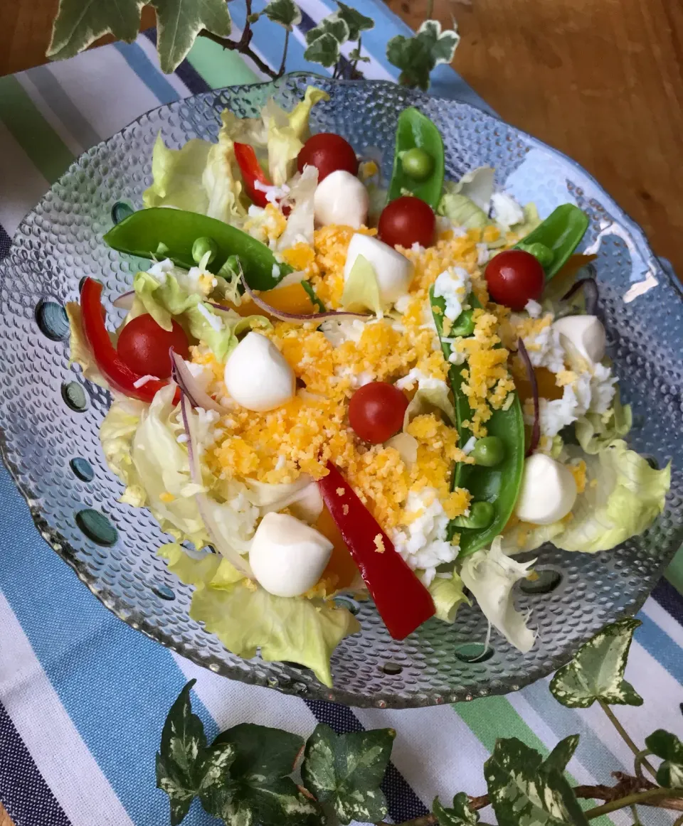 🥗今日のサラダはミモザサラダ🥗|Hollyさん