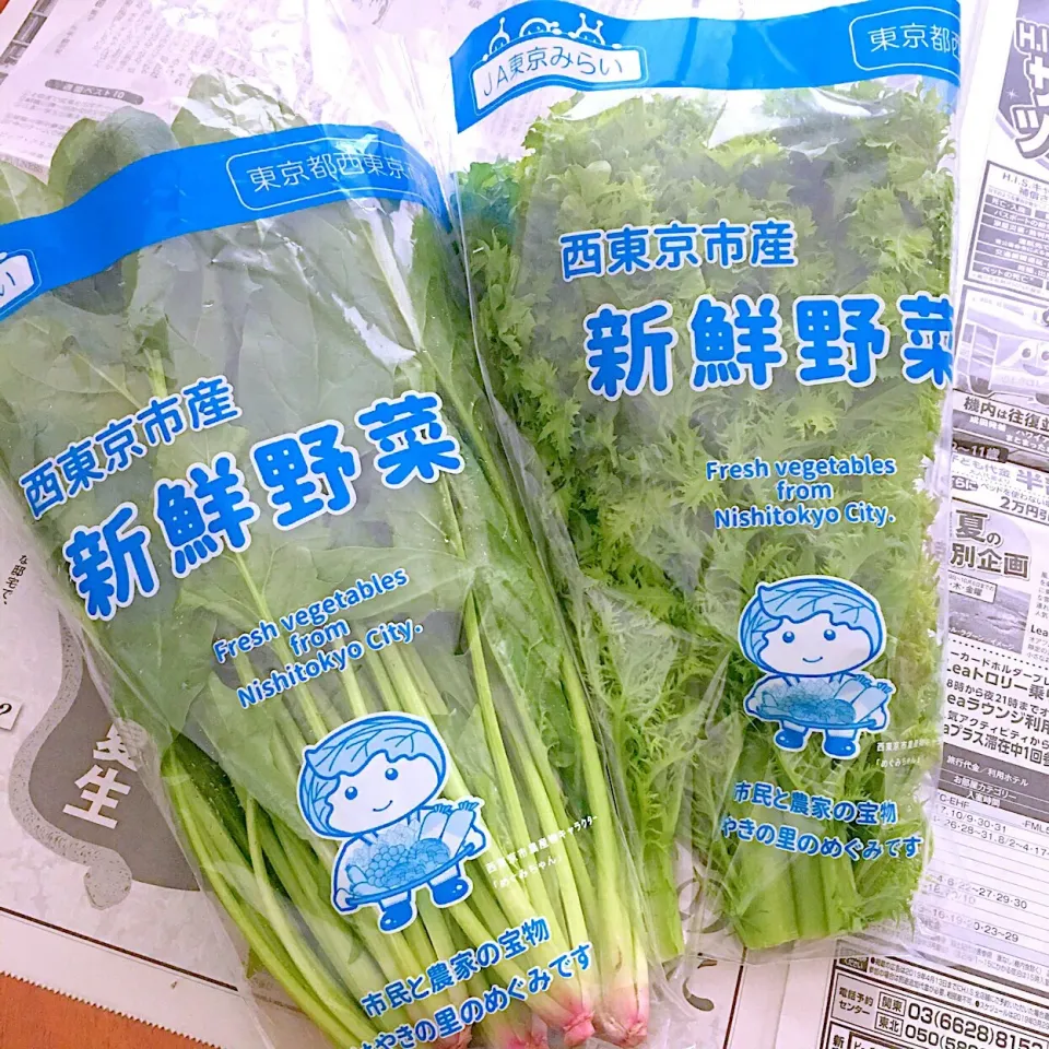 やぎさわマーケットで♡採れたて地場野菜 わさび菜＋ほうれん草 購入(^-^)♪|まこぴ～♪さん