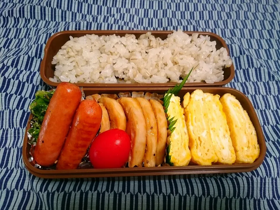 ☆今日のお弁当☆ パパのお弁当作り始めました。|hamamaさん