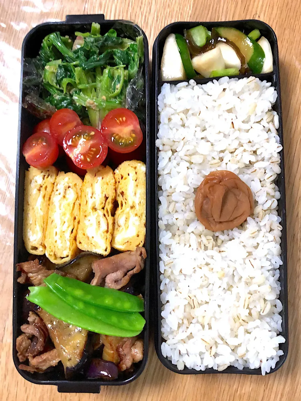 Snapdishの料理写真:男子弁当 #豚肉と茄子の甘辛炒め  #たまご焼き #ほうれん草の胡麻和え ミニトマト #かぶときゅうりの塩昆布漬け #麦ごはん #梅干し|ミウトおかんさん