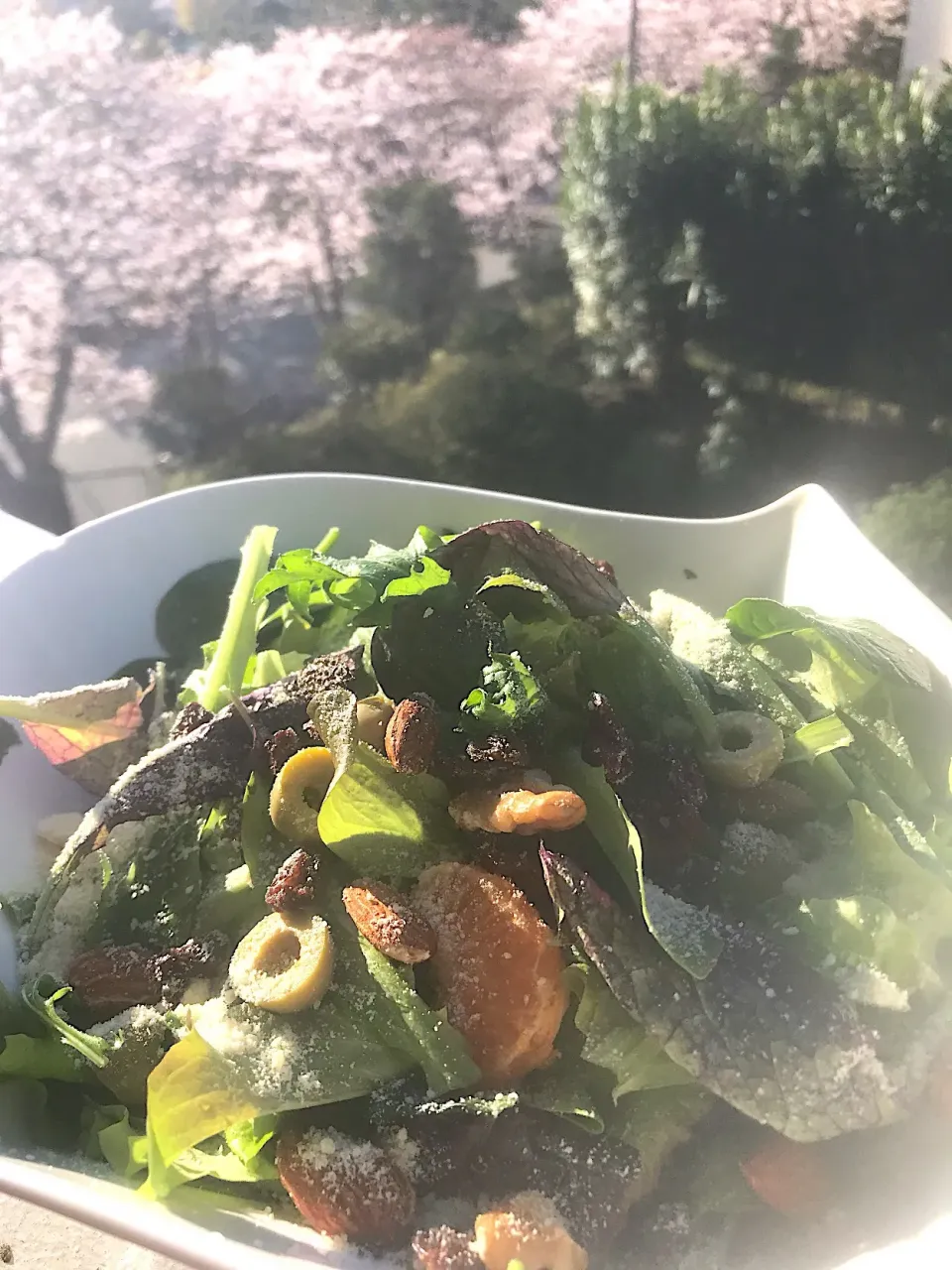 ベリーリーフ🌱サラダ🥗|シュトママさん