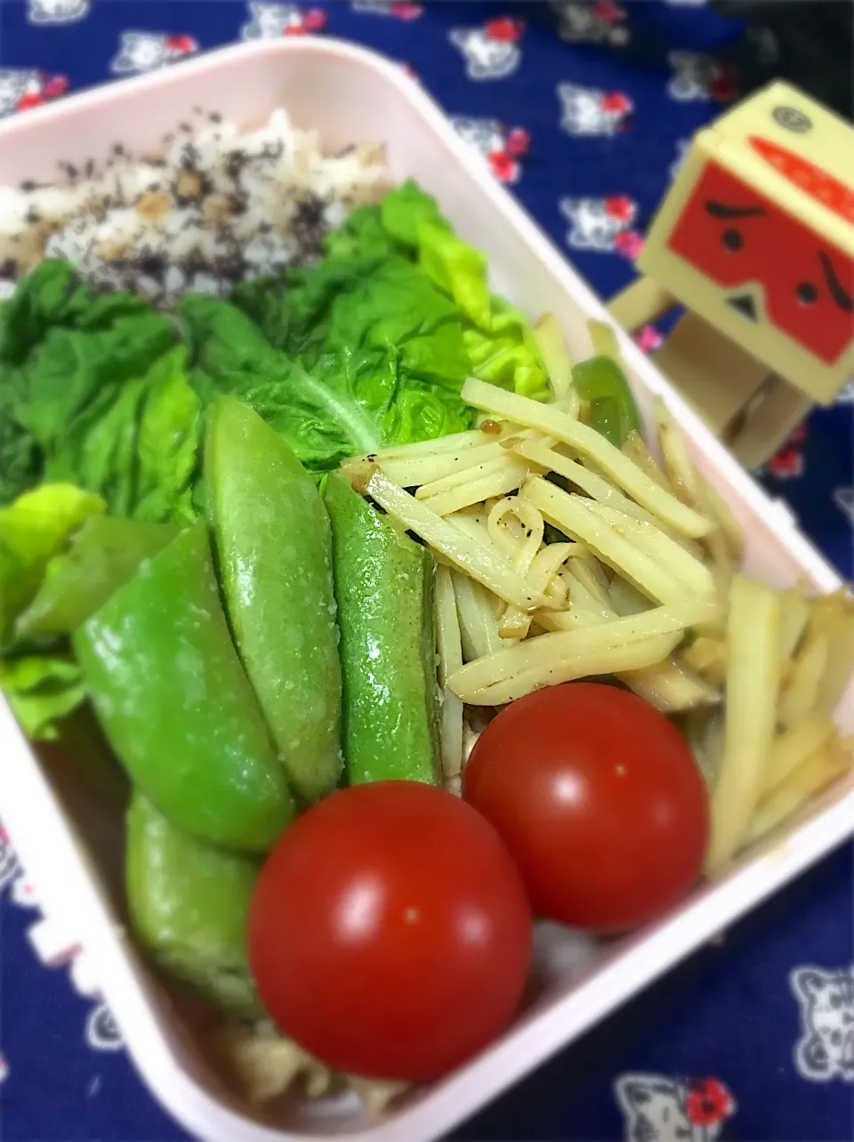 #お弁当修業中 お花見お弁当|ここ。さん