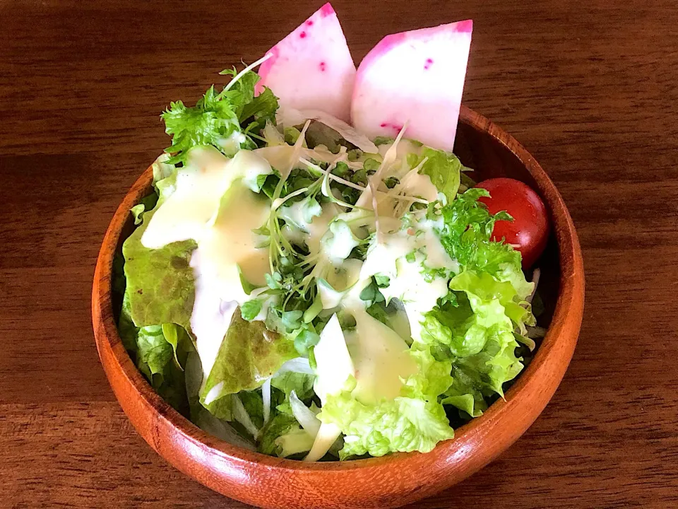 水耕栽培のサラダ🥗もものすけを添えて❤️|ひだまり農園さん