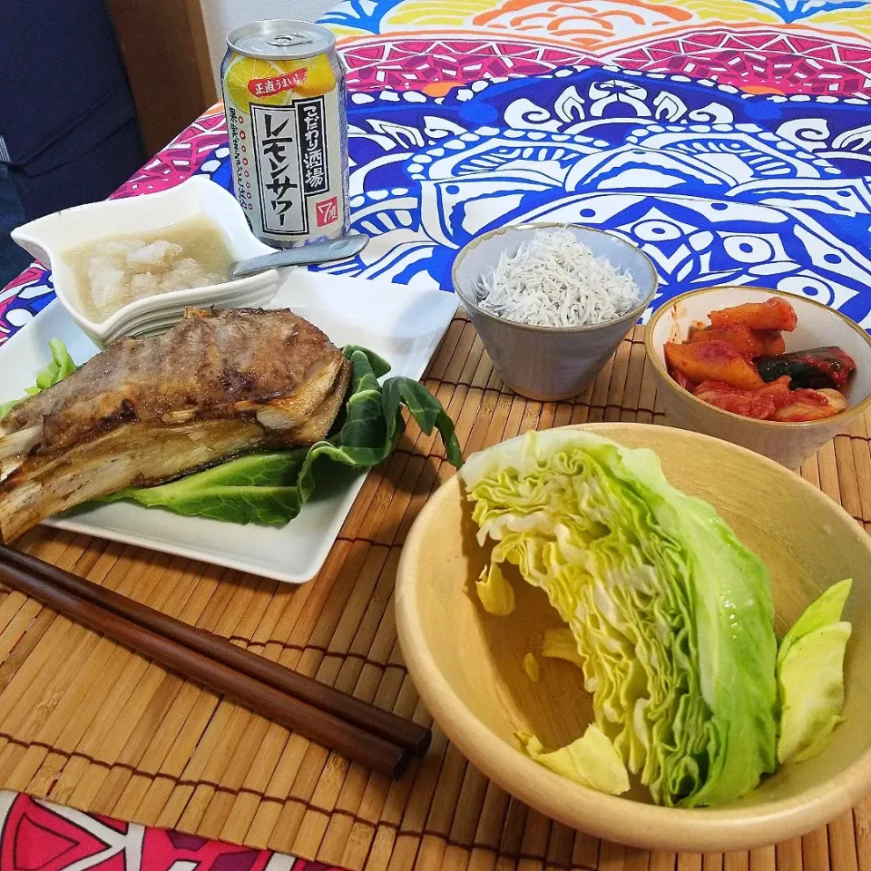 家飲み最高🎵マグロのカマの塩焼きと、春キャベツ、しらすおろし☺旬のもので呑みまくろう😍|Maho Sanoさん