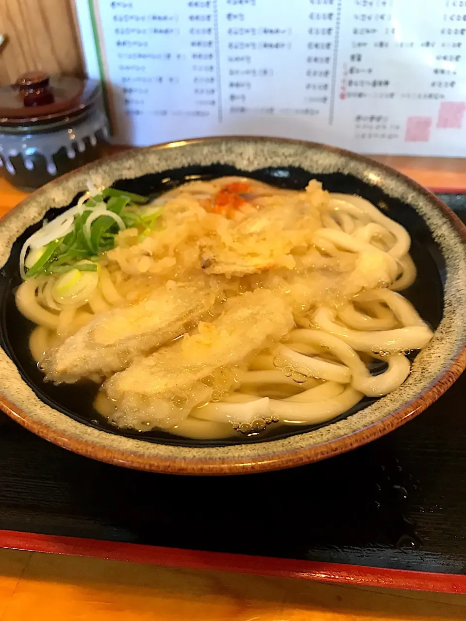 天草市 ももや ごぼう天うどん 450円|みちるさん