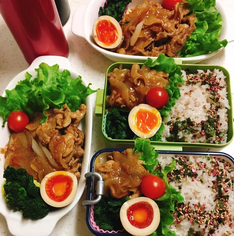 Snapdishの料理写真:今日のお仕事&留守番弁当♪2019.4.3|ぐぅさん