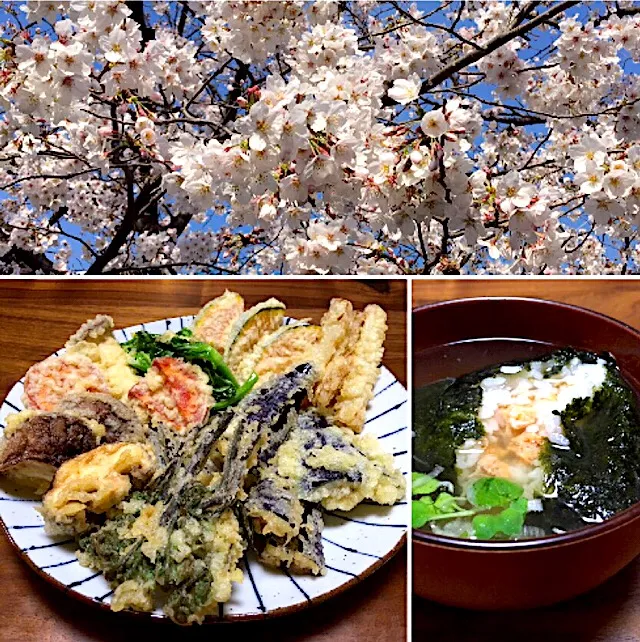 桜と 春の天ぷらと おにぎり茶漬けと🌸🌱🍙|ぱぴこ家さん