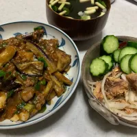 Snapdishの料理写真:麻婆茄子と玉ねぎとざばの和えもの|ようこさん