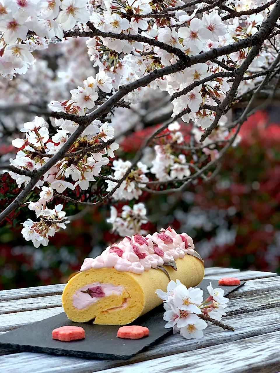 桜ロールケーキ🌸|カタツムリさん