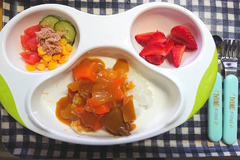 ある日の幼児食
お星様のにんじん甘口カレー
ツナと野菜のサラダ
いちご|なおさん