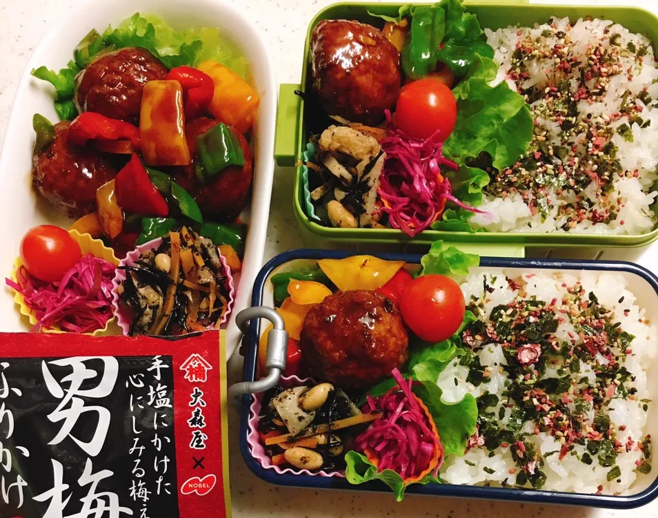 今日のお仕事&留守番弁当♪2019.4.4|ぐぅさん