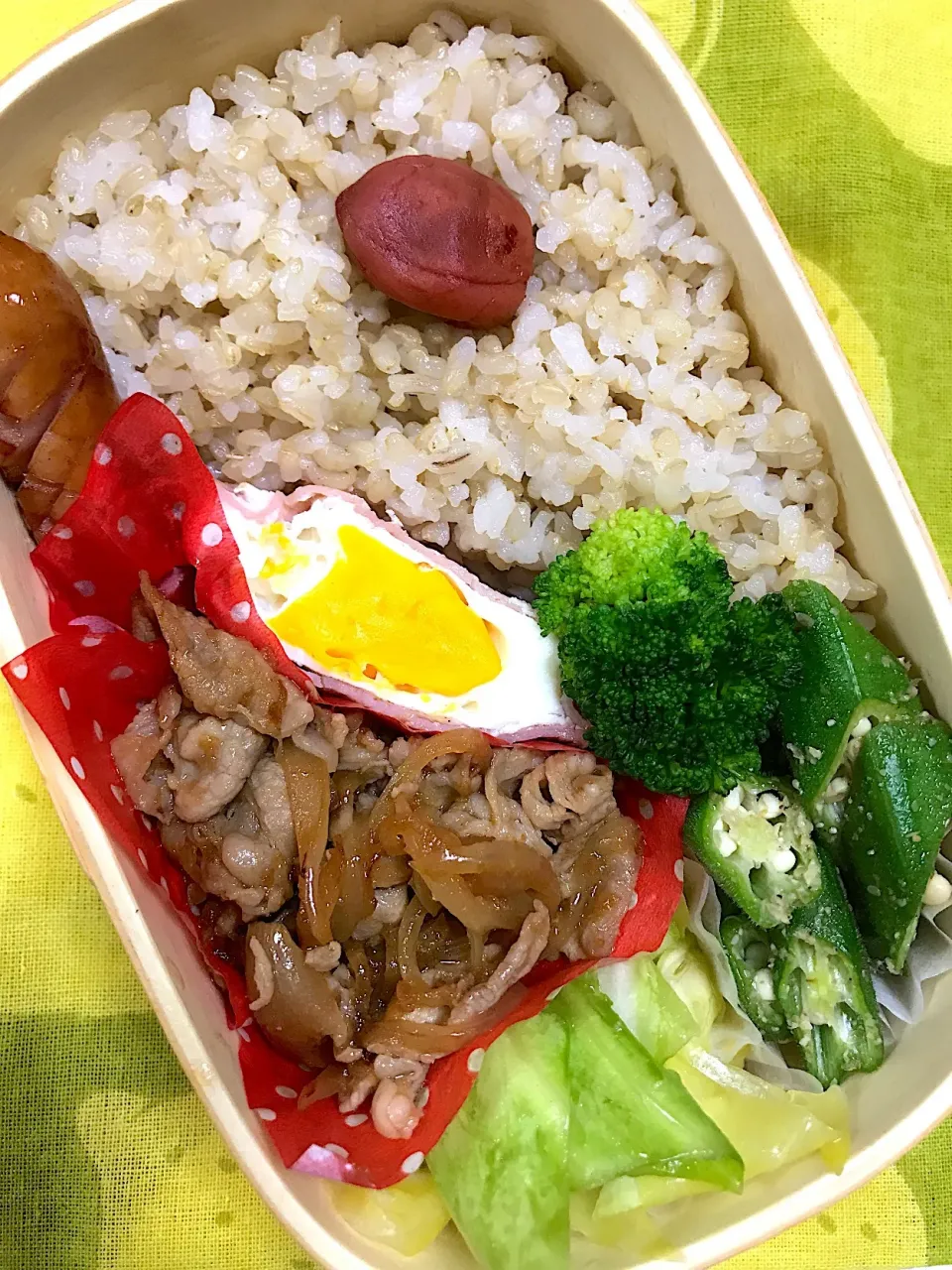 2019.04.04 #旦那弁当|runさん