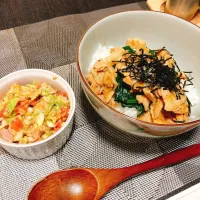 Snapdishの料理写真:ルーロー飯とツナとキャベツとトマトのメキシカンサラダ|rikuさん