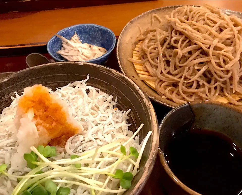 Snapdishの料理写真:けふの昼餉…しらす丼とミニ越前ざるそば。前はこのお店美味しかったのに…なんかそばのツユが変わってしまった😢|にゃあ（芸名）さん