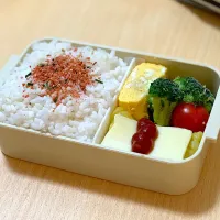 今日のお弁当|pecoさん