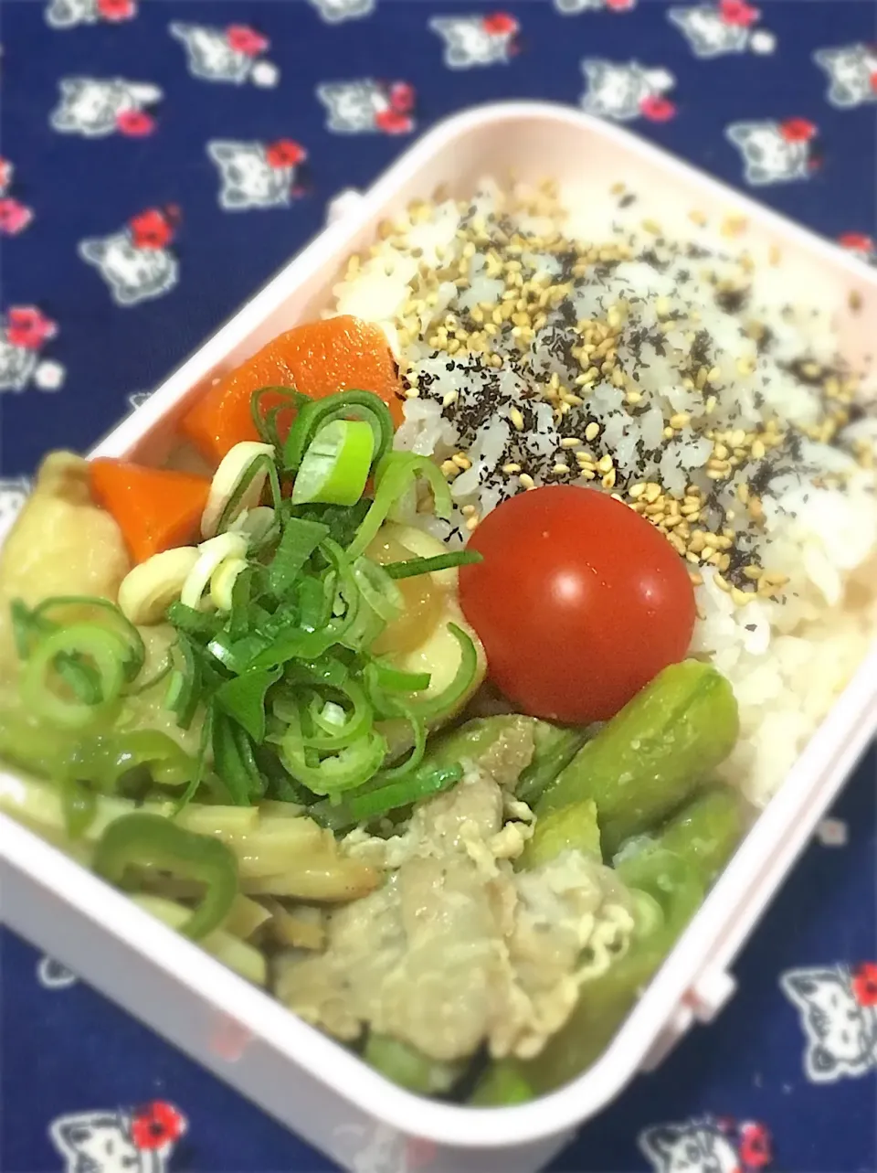 #お弁当修業中  #お花見弁当|ここ。さん