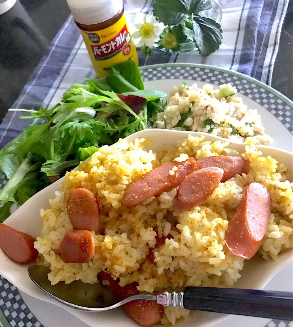 簡単
ハウスバーモントカレーパウダーで
ドライカレー|シュトママさん