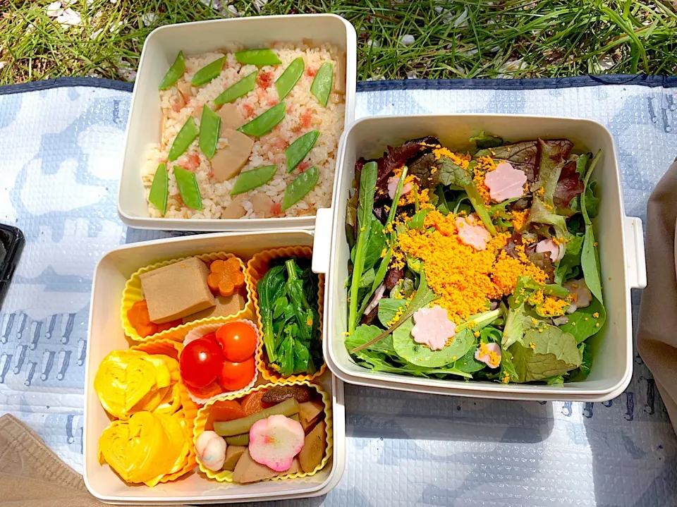 Snapdishの料理写真:お花見お弁当|Camellia0130さん