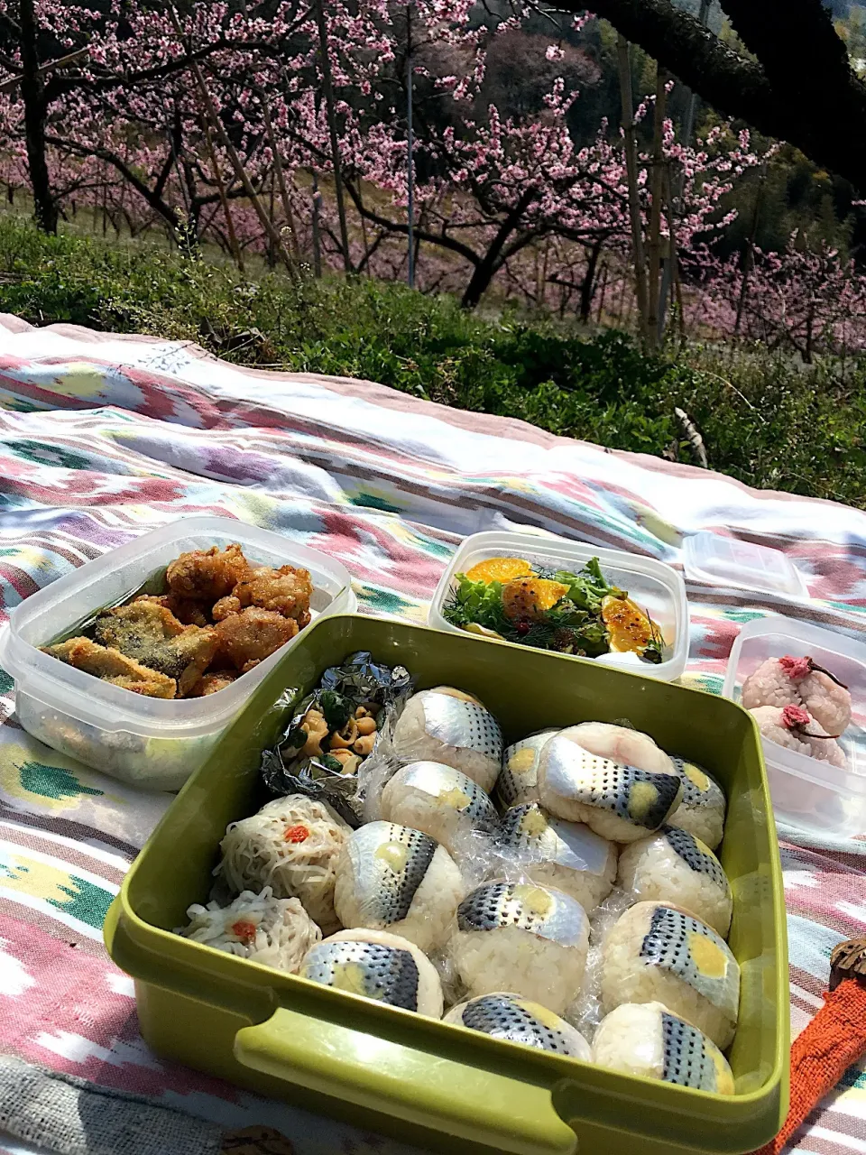 夫婦と猫で花見弁当🌸|cherさん