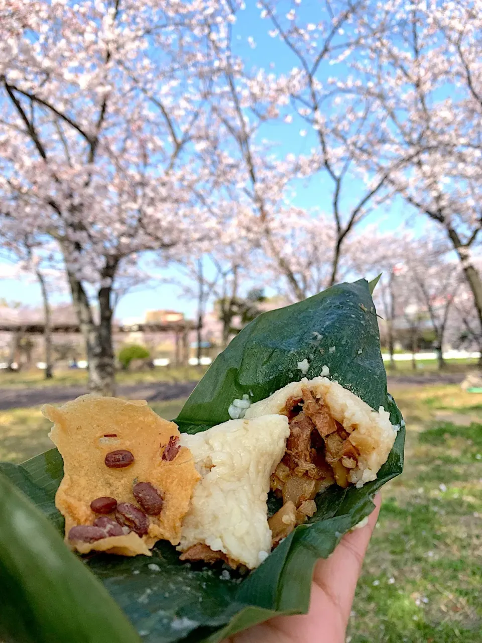 Snapdishの料理写真:Bacang ayam|yeni kartikasariさん