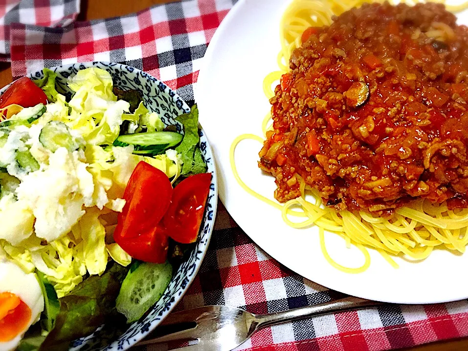 ミートソースパスタとサラダ|グリーンの丘さん