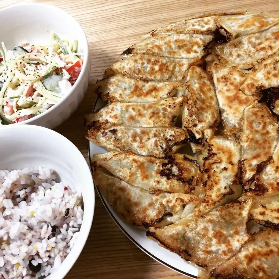 初めて餃子作ってみた☺︎ #手作り餃子  #餃子  #手料理  #夜ごはん|むさけんさん